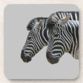 Zebra hoofden bier onderzetter (Voorkant)
