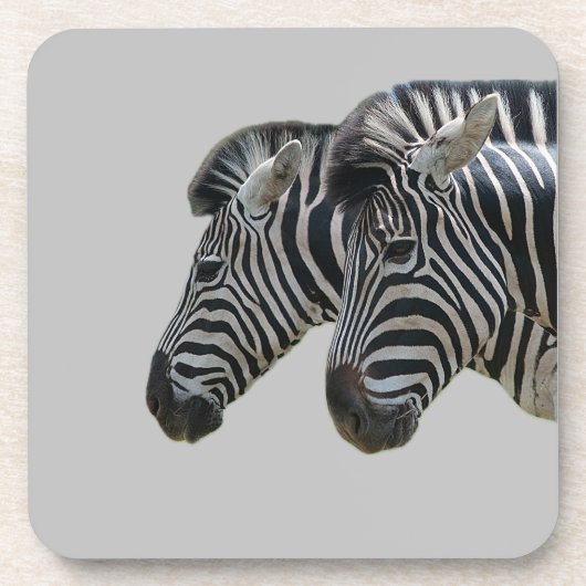Zebra hoofden bier onderzetter (Voorkant)