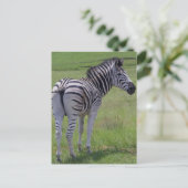Zebra hoogte-Briefkaarten Briefkaart (Staand voorkant)
