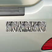ZEBRA HUG BUMPERSTICKER (Op auto)