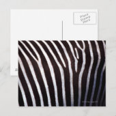 zebra-huid briefkaart (Voorkant / Achterkant)