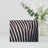 zebra-huid briefkaart (Staand voorkant)