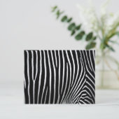 Zebra huid briefkaart (Staand voorkant)