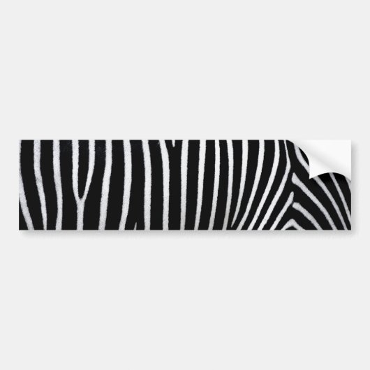 Zebra huid bumpersticker (Voorkant)