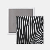 Zebra huid magneet (Voorkant / Achterkant)