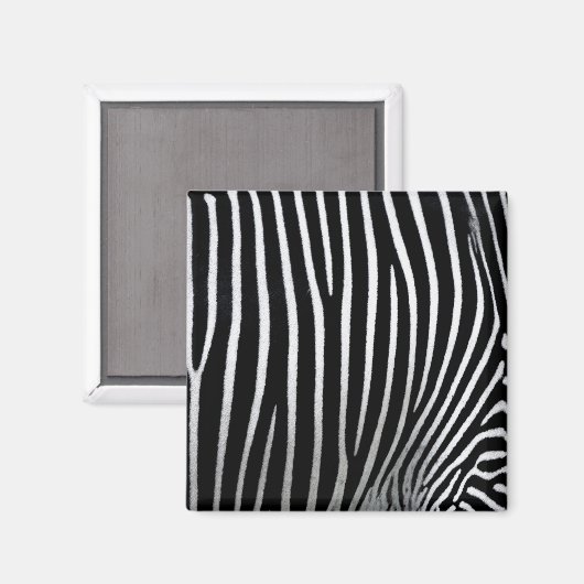 Zebra huid magneet (Voorkant / Achterkant)