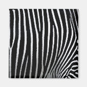 Zebra huid magneet (Voorkant)