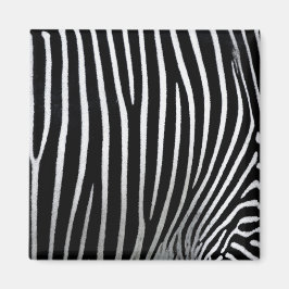 Zebra huid magneet