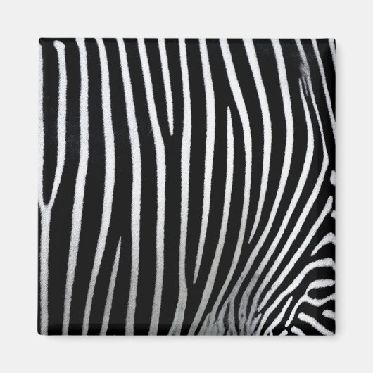 Zebra huid magneet (Voorkant)