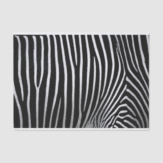 Zebra huid tissuepapier (Voorkant)