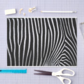 Zebra huid tissuepapier (Craft)