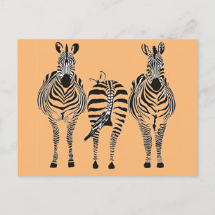 ZEBRA HUMOR BRIEFKAART