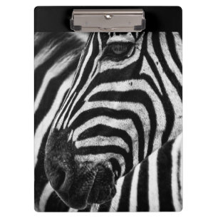 Zebra-illusie Klembord