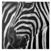Zebra-illusie Tegeltje (Voorkant)