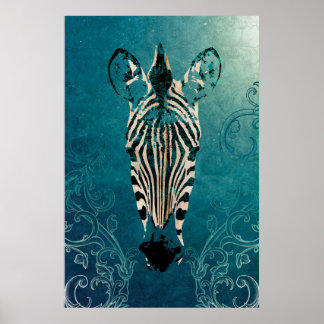 Zebra illustratie poster