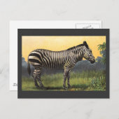  Zebra in de Afrikaanse Savannah, Wilde Dier Briefkaart (Voorkant / Achterkant)