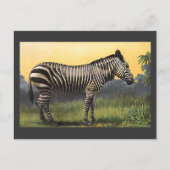  Zebra in de Afrikaanse Savannah, Wilde Dier Briefkaart (Voorkant)