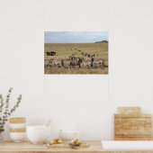 Zebra in de Serengeti in Tanzania Poster (Keuken)