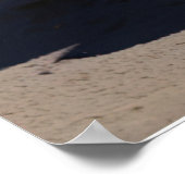 Zebra in de wilde dramatische Sunset Safari Art Poster (Hoek)