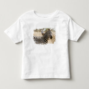 Zebra in het Meru National Park, Kenia. Kinder Shirts