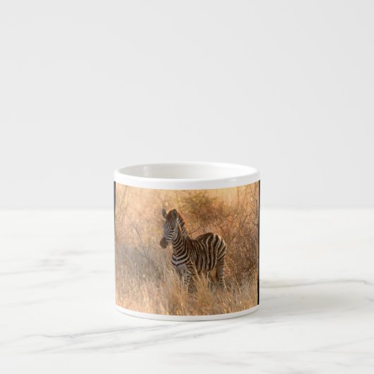 Zebra in het ochtendlicht espresso kop (Voorkant)
