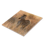 Zebra in het ochtendlicht tegeltje (Zijkant)
