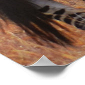 Zebra in het Poster Kenia (Hoek)