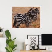 Zebra in het Poster Kenia (Thuiskantoor)