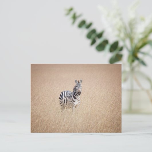 Zebra in high grass briefkaart (Staand voorkant)