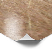 Zebra in high grass foto afdruk (Hoek)