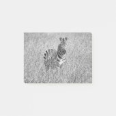 Zebra in high grass post-it® notes (Voorkant)