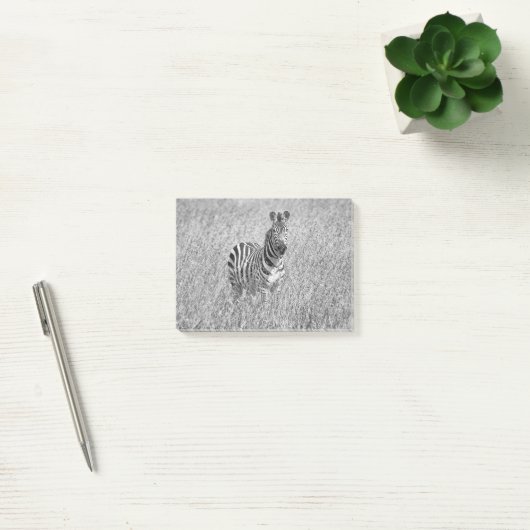 Zebra in high grass post-it® notes (Kantoor)