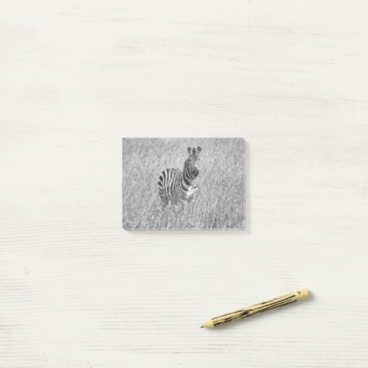 Zebra in high grass post-it® notes (Op bureau)