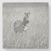 Zebra in high grass stenen onderzetter (Voorkant)