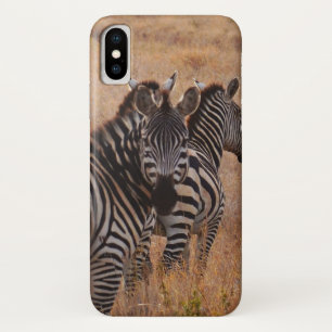 Zebra in Kenia Case-Mate iPhone Case