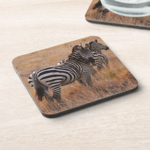 Zebra in Kenia Drankjes Onderzetter