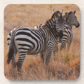 Zebra in Kenia Drankjes Onderzetter (Voorkant)