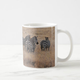 Zebra in Kenia Koffiemok