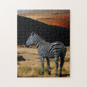 Zebra in Kenia. Legpuzzel