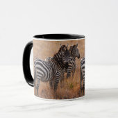 Zebra in Kenia Mok (Voorkant links)