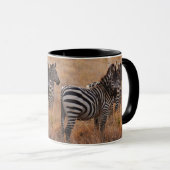 Zebra in Kenia Mok (Voorkant rechts)