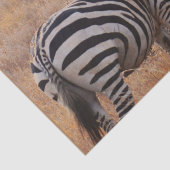 Zebra in Kenia Tissuepapier (Detail)