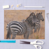 Zebra in Kenia Tissuepapier (Craft)