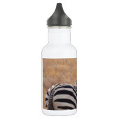 Zebra in Kenia Waterfles (Links)