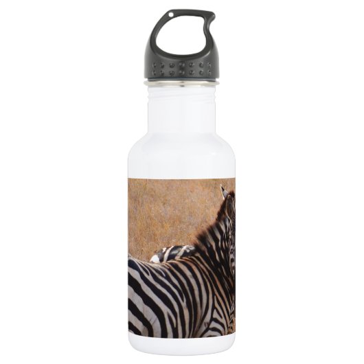 Zebra in Kenia Waterfles (Voorkant)