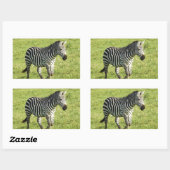 zebra in Serengeti., Ngorongoro-krater Rechthoekige Sticker (Vel)