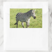 zebra in Serengeti., Ngorongoro-krater Rechthoekige Sticker (Tas)