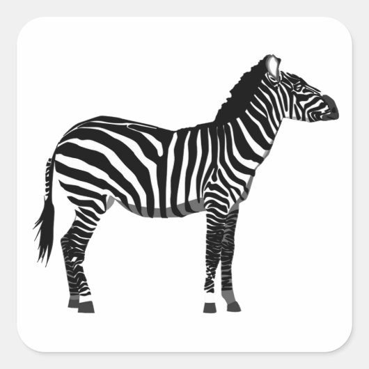 Zebra in zwarte en witte strepen Square Sticker (Voorkant)