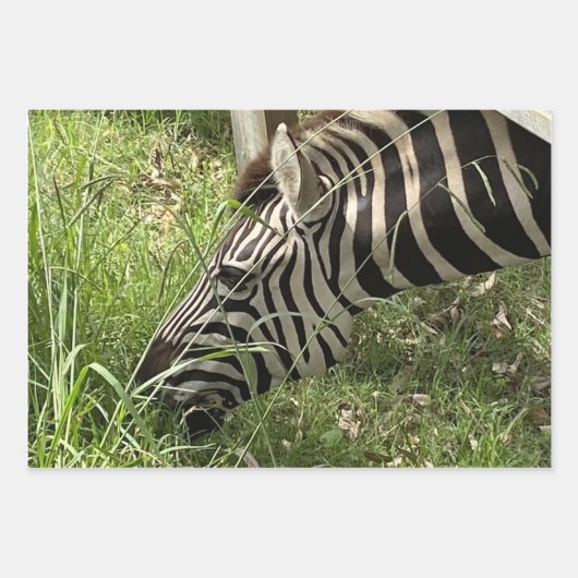 Zebra Inpakpapier Vel (Voorkant 3)