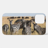 Zebra iPhone 12 Hoesje van Grant (Achterkant (horizontaal))